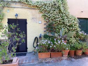 Ein Haufen Pflanzen in Töpfen vor einem Gebäude in der Unterkunft Casa del sole in Manciano
