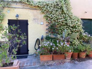 マンチャーノにあるCasa del soleの建物前の鉢植え