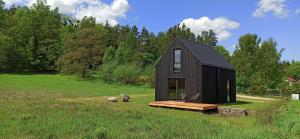 a black tiny house in a grassy field at Czarny Domek Mazury in Pozezdrze