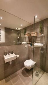 a bathroom with a toilet and a sink at Chalet entier 110m2 avec vue et sauna à 10 min des pistes in Sainte-Foy-Tarentaise