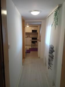 Kuchnia lub aneks kuchenny w obiekcie Apartmani Novak - Vir
