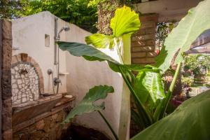 Vonkajšia záhrada v ubytovaní Casa Petunia