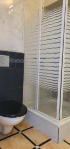 a bathroom with a toilet and a glass shower at Dom pod Orlimi Skałami - blisko Zamku Czocha i Jeziora Leśniańskiego in Leśna +24 photos