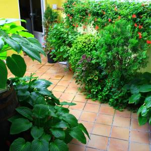 Zahrada ubytování Hostal Escartín
