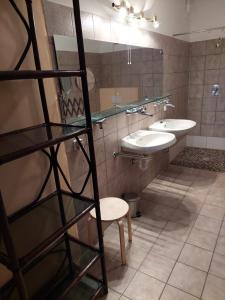 uma casa de banho com 2 lavatórios e um espelho em JOHN’S MOTEL APPARTEMENTHAUS em Attnang-Puchheim
