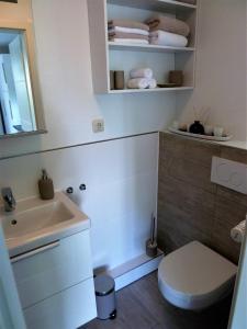 a bathroom with a sink and a toilet and a mirror at Apartment Ankenbrand in Randersacker +8 photos