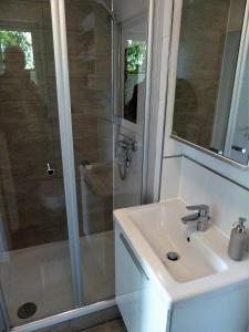 a bathroom with a shower and a sink at Apartment Ankenbrand in Randersacker