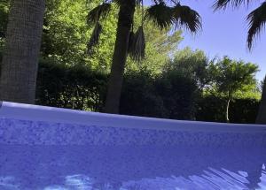 een zwembad met een palmboom op de achtergrond bij PROCHE CANNES, SPACIEUX VILLA APPARTEMENT, JARDIN et PISCINE PRIVE in Vallauris