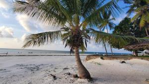 a palm tree on a sandy beach with the ocean at Lovely 4-Bed Villa Family oriented or a smallgroup in Diani Beach