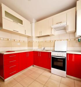 a red kitchen with white appliances and red cabinets at Garsoniera in Roman