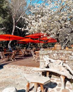 un banco y mesas con sombrillas y árboles rojos en Auberge De La Foret Bonifatu, en Calenzana