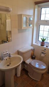 a bathroom with a toilet and a sink at Lovely 2-Bedroom New Forest apartment on a Farm in New Milton