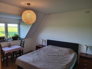 Schlafzimmer mit einem Bett, einem Tisch und einem Fenster in der Unterkunft Bed & Breakfast de Vink in Terschuur