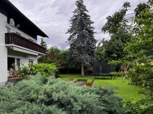 a garden with chairs and a tree in the yard at Ferienwohnung Rohrmeister in Eberndorf