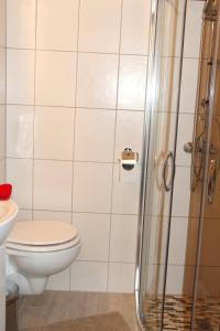 a bathroom with a toilet and a shower at Appartement 101 in Bichlbach