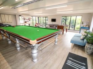 a living room with a pool table in it at Buttercup Lodge in Doncaster
