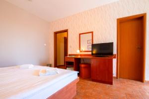 TV a/nebo společenská místnost v ubytování Spa & Wellness Hotel Orchidea