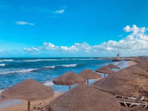 un gruppo di ombrelloni di paglia su una spiaggia con l'oceano di Baia dei Mulini Resort & Spa a Trapani