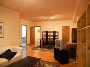 a living room with a couch and a tv at Casa Baratura in Cangas del Narcea