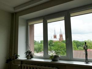 a window with potted plants on a window sill at Vienuolio Apartament - jauki vieta poilsiui šalia upės in Anykščiai