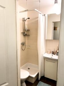 a bathroom with a shower and a toilet and a sink at Vienuolio Apartament - jauki vieta poilsiui šalia upės in Anykščiai +3 photos
