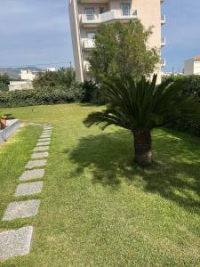 una palmera en el césped junto a un edificio en OASIS rooms, en Caristo