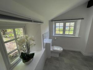 Koupelna v ubytování Brandlehow HOT TUB HIRE AVAILABLE