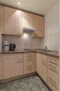 Kuchyň nebo kuchyňský kout v ubytování SR Apartments GmbH Rabitschhof