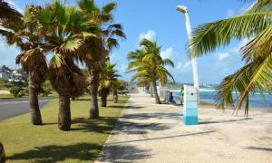 a sidewalk with palm trees and a street light at Bungalow charmant au Moule avec piscine et jardin in Le Moule +7 photos
