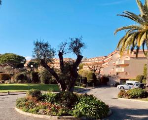 ein Baum auf einem Parkplatz in der Unterkunft Antibes Secured Parc Velusine with private parking, Terrace, Pools and Tennis courts. in Antibes