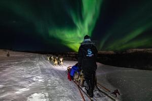 a group of people on skis under the northern lights at Snow Resort Kirkenes in Kirkenes