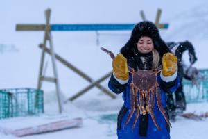 Hosté ubytování Snowhotel Kirkenes