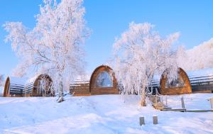 Snowhotel Kirkenes v zimě