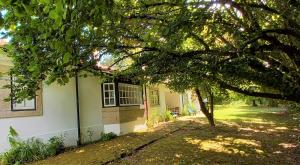 ein Haus mit einem Baum davor in der Unterkunft Casa da Roseira in Ponte de Lima