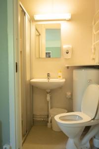 ein Badezimmer mit einem WC, einem Waschbecken und einem Spiegel in der Unterkunft Sandvik Gjestegård in Sandvik