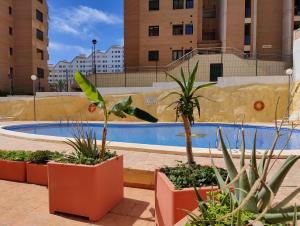 une piscine avec des plantes en pots à côté d'un bâtiment dans l'établissement ESTRELLA honey apartment, à La Cala de Finestra