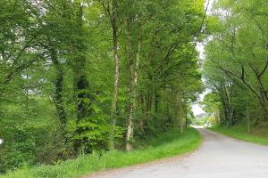 Afbeelding uit fotogalerij van Paradis pour les petits, quiétude pour les grands. in Brech