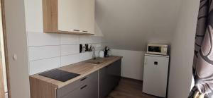 Kuchyňa alebo kuchynka v ubytovaní Dália Apartman