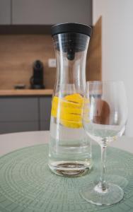 un vase de verre rempli d'eau et d'un verre de tranches de citron dans l'établissement Sea and mountain view apartments, à Duće