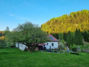 a house in a field with a tree in the yard at Dom Supełek in Duszniki Zdrój