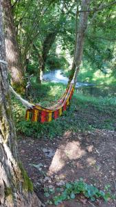 een hangmat hangend aan een boom naast een rivier bij Gîte rural - La Rivière Assoiffée in Florimont-Gaumiers