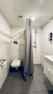 Koupelna v ubytování Apartement Aisa