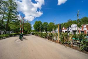 阿姆斯特尔芬EuroParcs Het Amsterdamse Bos的村里一条有房屋和树木的空街