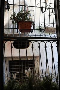 d'un balcon avec des plantes sur une clôture en fer. dans l'établissement MAISON NICOLE - SALERNO, à Salerne