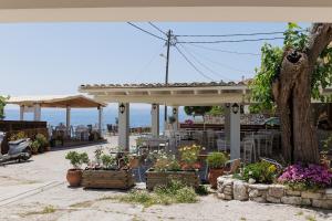 A garden outside Salt & Sun Apartments by Konnect, at Kaminaki Beach