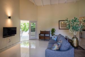 un salon avec un canapé bleu et une télévision dans l'établissement Attractive villa in resort, à Willemstad