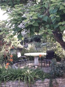 uma mesa e cadeiras debaixo de uma árvore num jardim em PROVENCE, SOLEIL ET LUBERON !!! Coin jardin 3 Lits 2 Chambres 80 m2 em Cheval-Blanc