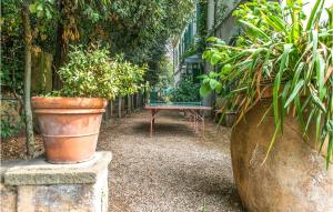 A garden outside 5 Bedroom Amazing Home In Grottaferrata