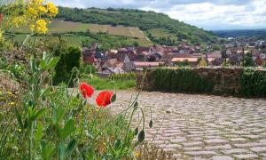a stone walkway with red flowers and a village at Auberge du Cheval Blanc depuis 1785 in Westhalten