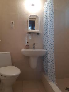 Ванная комната в Emma's Guesthouse in Borjomi